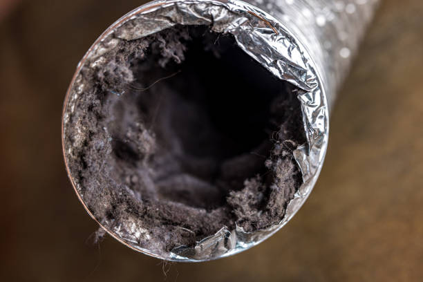 Best Best Air Duct Cleaning Company  in Zebulon, GA